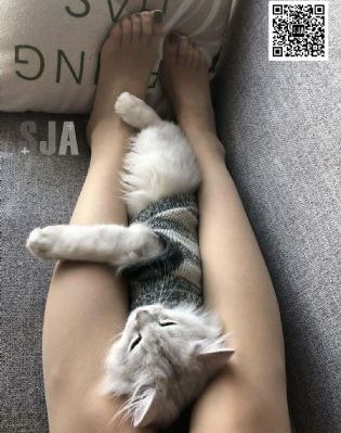 日韩欧美电影在线看