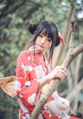 王者荣耀女英雄被c
