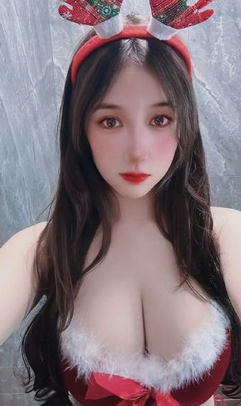 顶楼大象