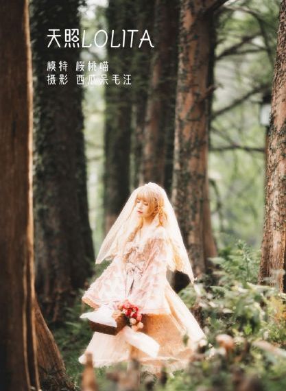 秋霞网在线