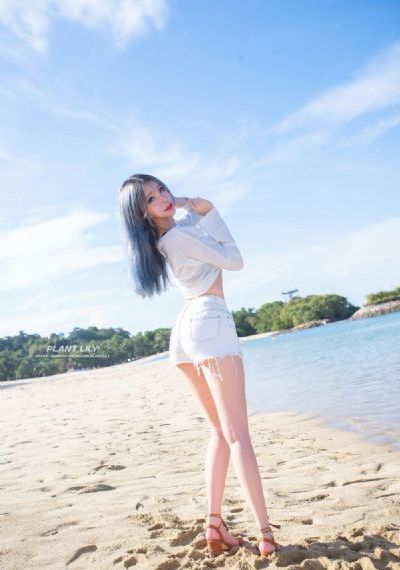 张保仔电视剧