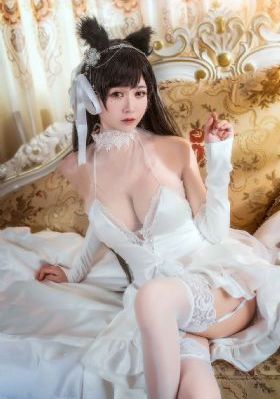 樱桃视频大全免费高清版